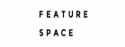 Featurespace